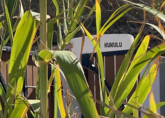 Kukulu Luxurious With Mini Private Pool * אנו מרה